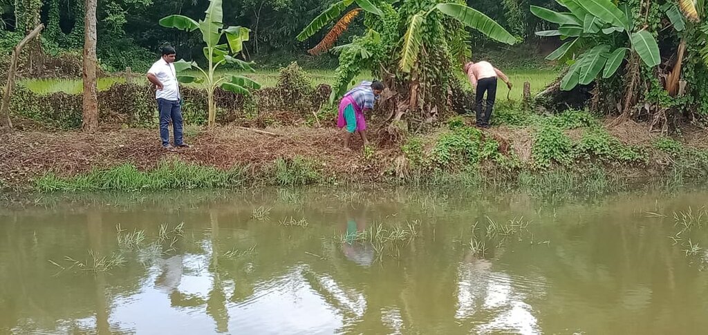 3 Mitglieder pflegen den neu angelegten Fischteich