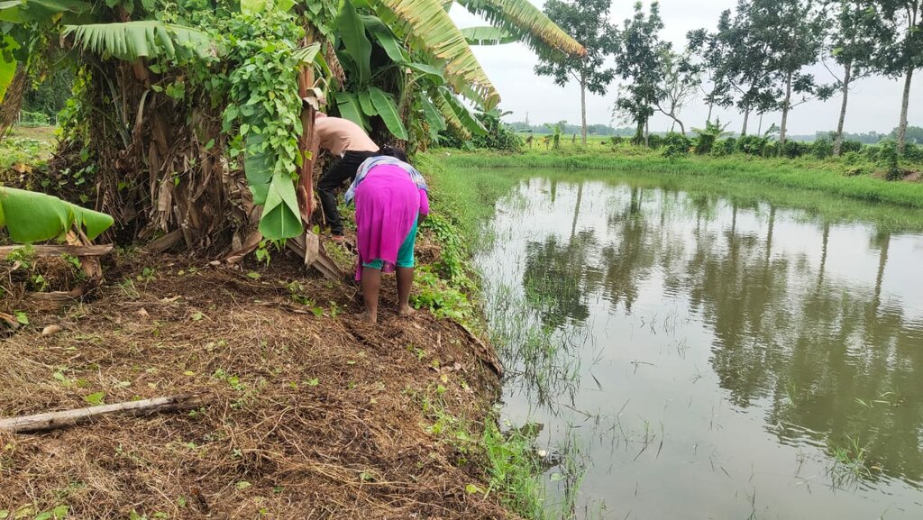 Zwei Mitglieder der Projektgruppe kümmern sich am Rand eines angelegten Teichs um die Fischzucht