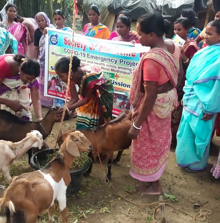 Mehrere indische Frauen bekommen die Ziegenhaltung direkt an den Tieren erklärt.